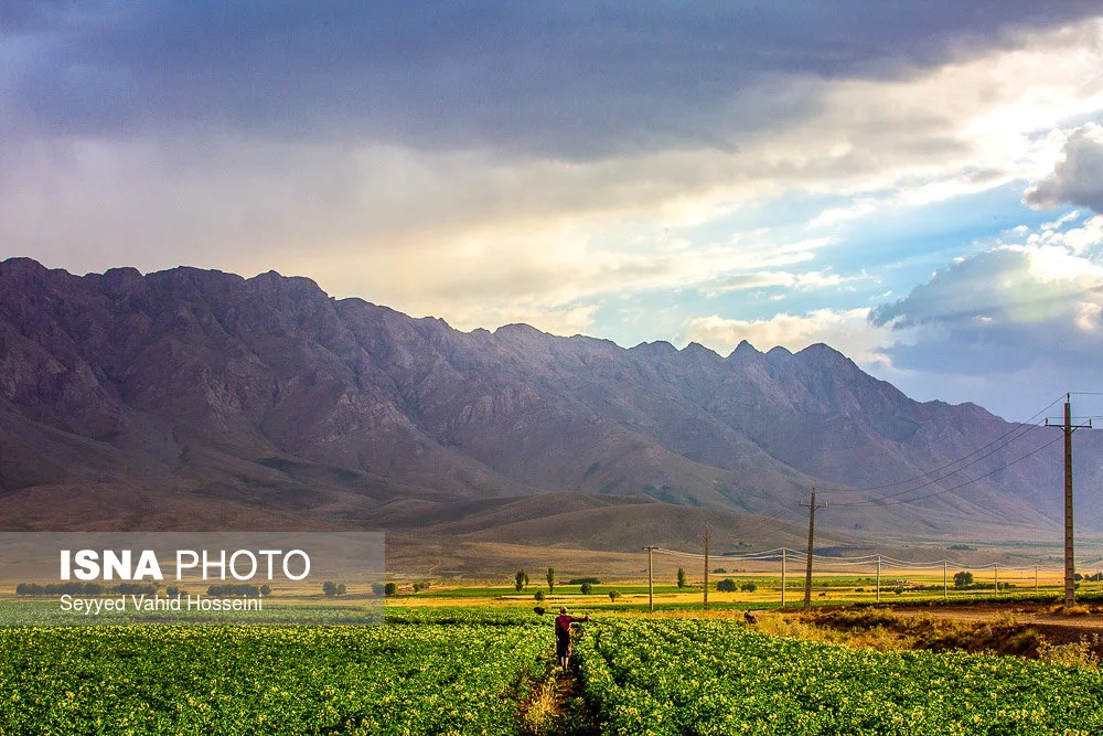 Mountains and a field of crops.